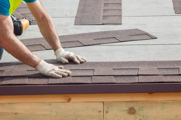 Best Skylight Installation and Repair  in Vista, CA